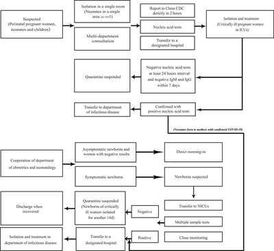 Coronavirus Disease 2019 (COVID-19) in Neonates and Children From China: A Review